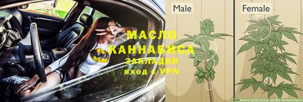 трава Магас