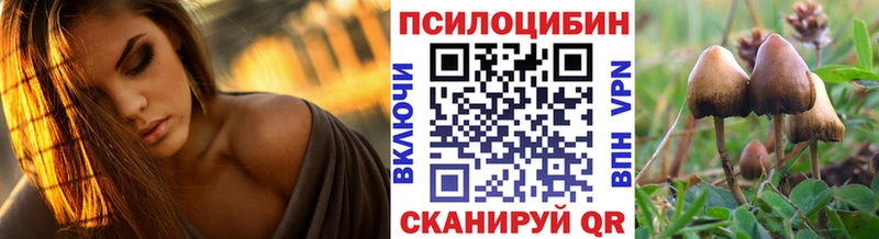 darknet официальный сайт  Ипатово  Галлюциногенные грибы GOLDEN TEACHER  купить наркотики сайты 
