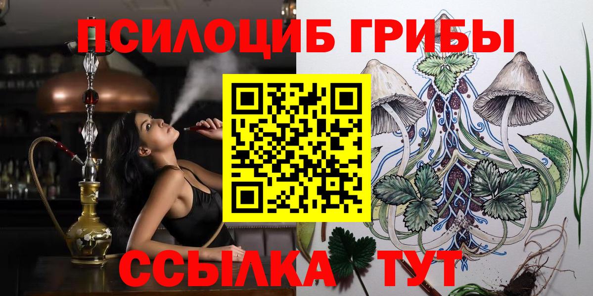 Ипатово  Псилоцибиновые грибы Cubensis  продажа наркотиков  Вход с VPN 