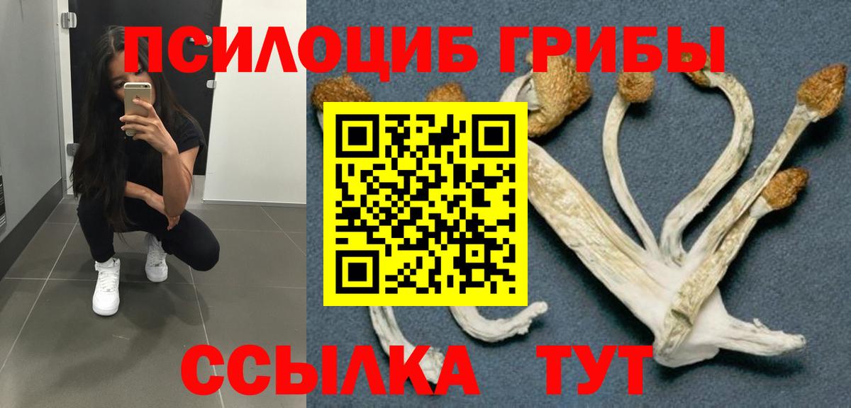 Псилоцибиновые грибы мухоморы  Ипатово  наркотики  Псилоцибиновые грибы ЛСД 